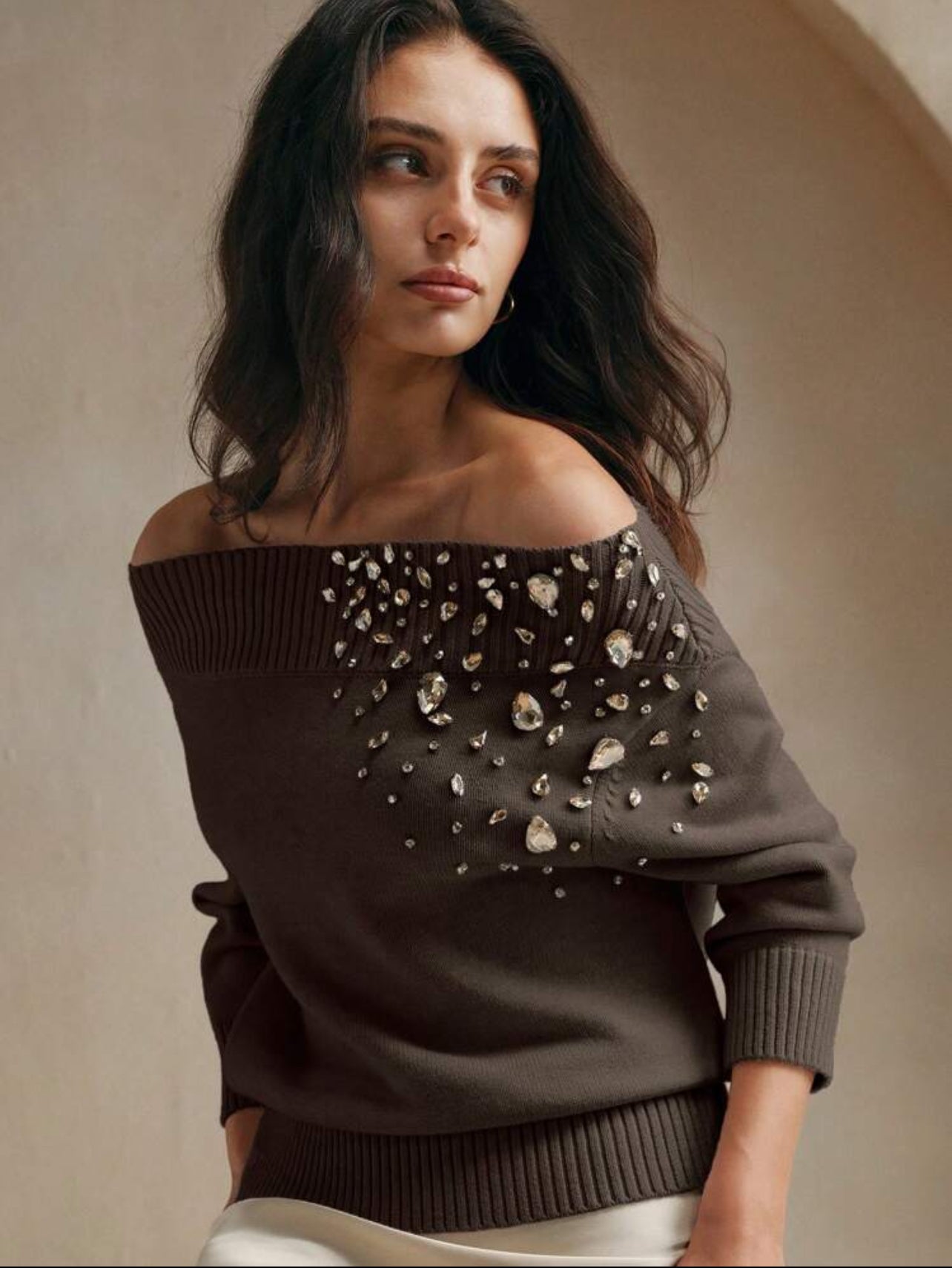 Offshoulder brown beaded sweater